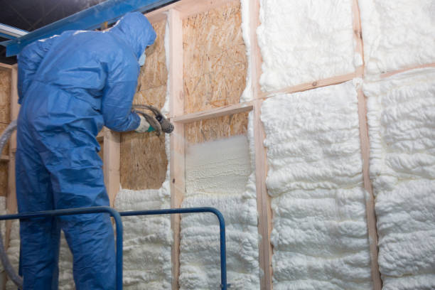 Best Attic Insulation Installation  in On Top Of The World Designated Place, FL